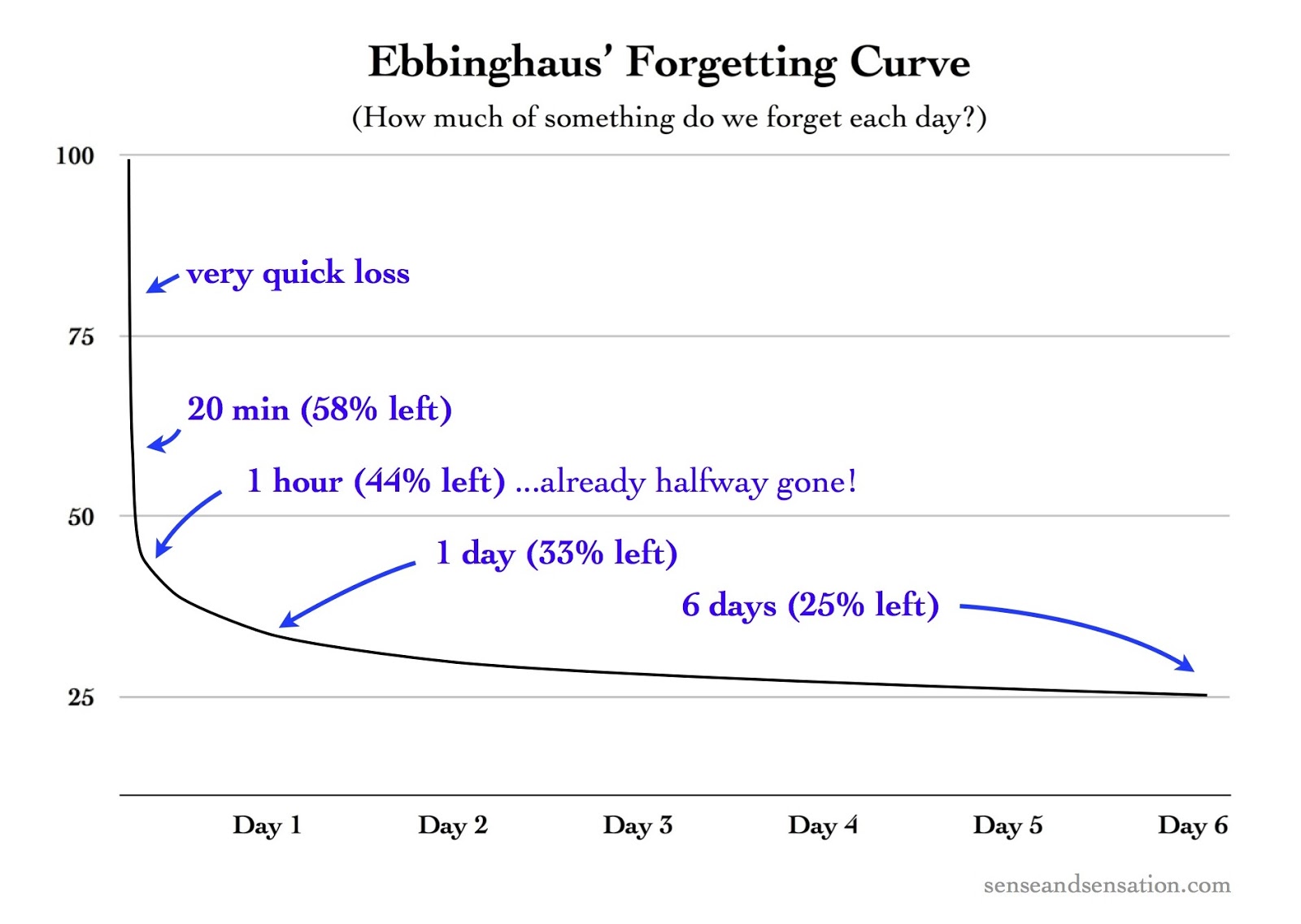 ebbinghausforgets